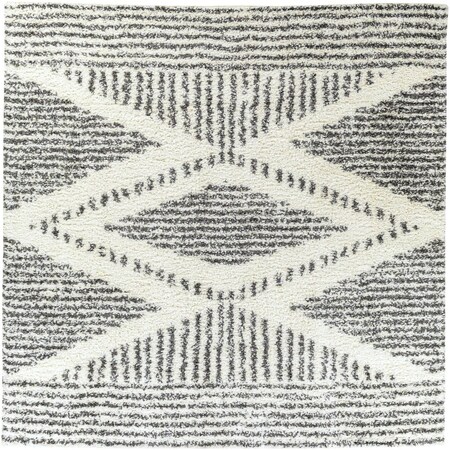 Livabliss Deluxe Shag DXS-2309 Machine Crafted Area Rug DXS2309-710SQ